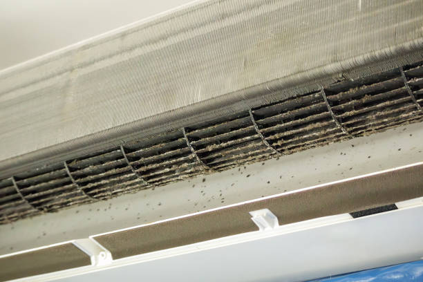 Best HVAC System Cleaning  in Mahanoy City, PA